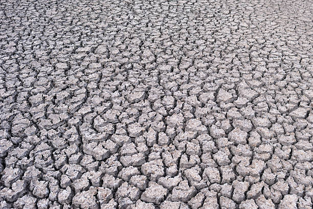 cracked dry earth, drought, disaster, dry riverbed stock photo