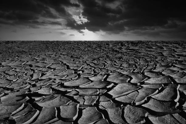 Cracked dry land without water and sky background for Global warming concept Cracked dry land without water and sky background for Global warming concept dead photos stock pictures, royalty-free photos & images