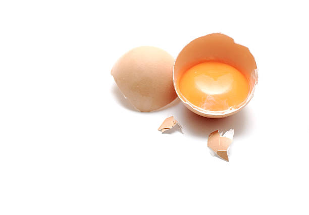 Cracked egg stock photo