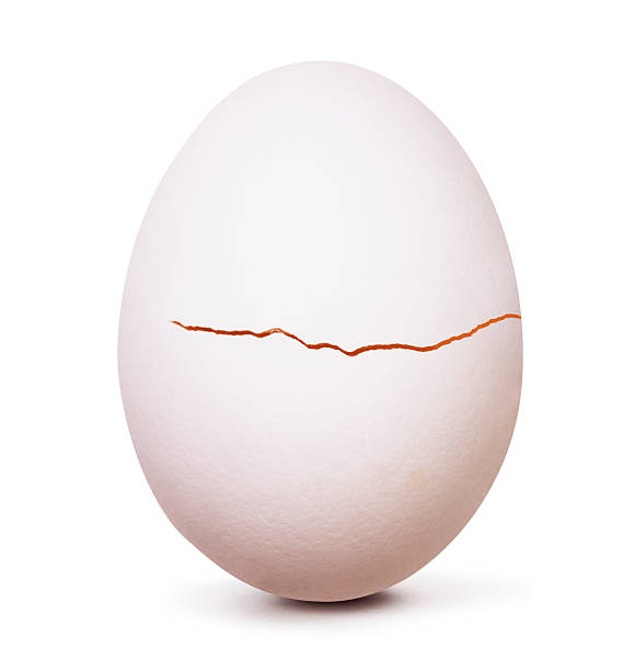 Яйцо трещина. Яйцо треснуло. Потрескавшееся яйцо. Яйцо с трещиной. Яйцо лопнуло.