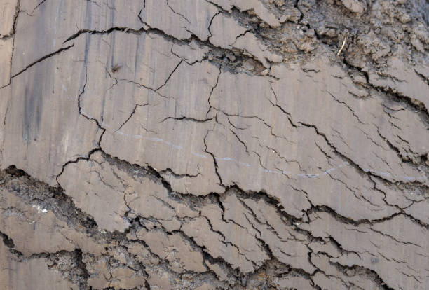 cracked lump of mud on plowed field stock photo