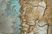 istock Cracked Soil 1324721430