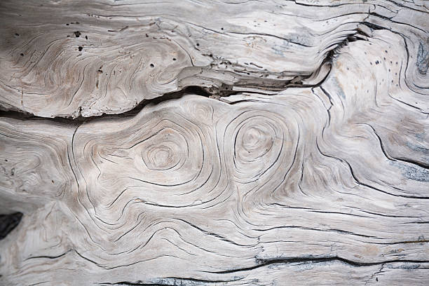 Cracks and structures in wood stock photo