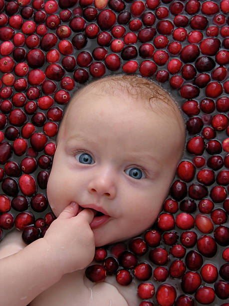 Baby in red floating cranberries chews her finger and looks into the cameraSimilar photos: