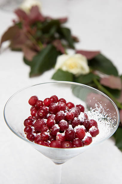 Cranberry dessert stock photo