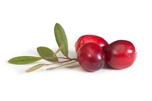 Cranberry Fruit and Leaves, Close Up stock photo