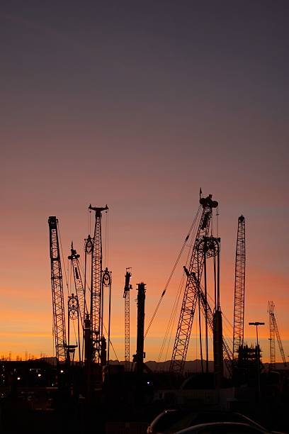 Cranes at Sunset III stock photo