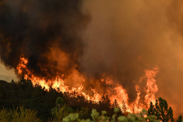 largest wildfire in california