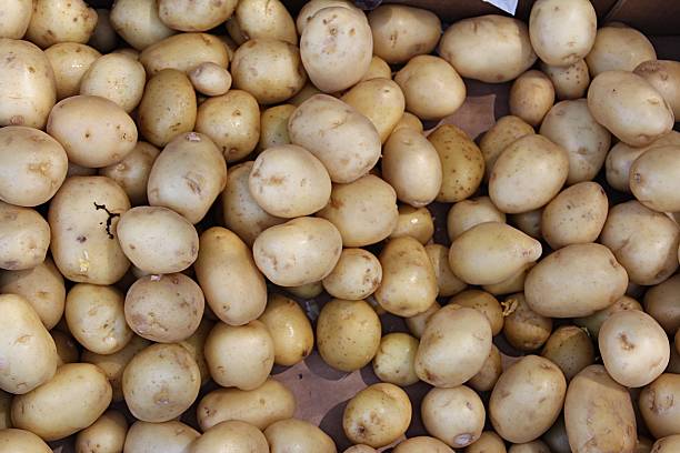 Crate of potatoes stock photo