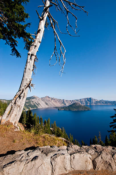 Crater Lake and Wizard Island Crater Lake exists in the blown-out caldera of a once mighty volcano known as Mount Mazama. This view of the lake and Wizard Island was taken from Sinnott Memorial Overlook in Crater Lake National Park, Oregon, USA. jeff goulden crater lake national park stock pictures, royalty-free photos & images