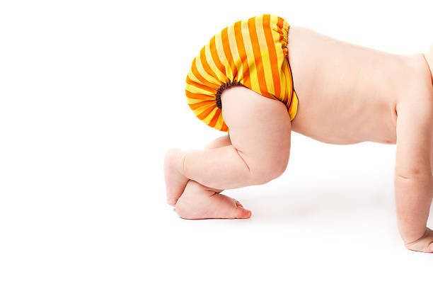 Crawling baby lifting cloth diaper high up Rear of a caucasian baby crawling and lifting his/her durable cloth diaper high up isolated on white background. crawling stock pictures, royalty-free photos & images