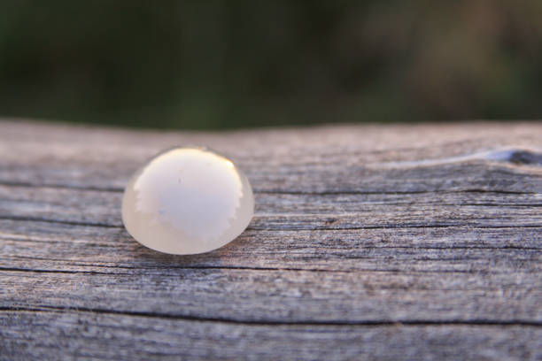 Cream white chalcedony agate gemstone on wooden background stock photo