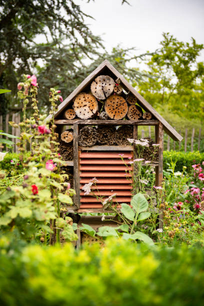 insect friendly garden design. colorful homemade insect houses.
