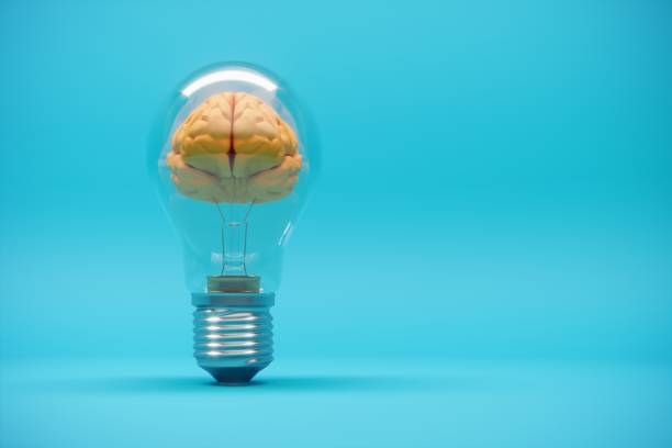 Orange colored brain inside the light bulb. Can be used innovation, creative idea concepts.  (3d render)
