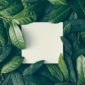 Creative layout made of green leaves with paper card note. Flat lay. Nature concept