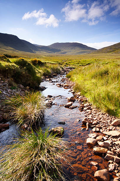 Creek in west Ireland stock photo