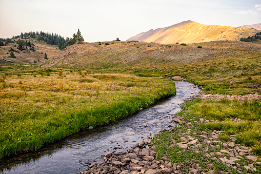 Creek with Middle Mountain in the background, Colorado in Vail, CO, United States