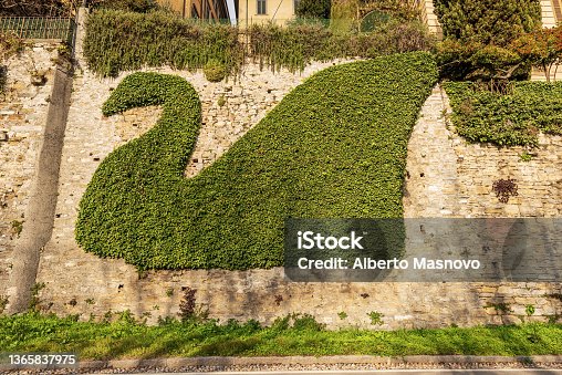 istock Creeper Plant in the Shape of a Swan - Bergamo Upper Town Lombardy Italy 1365837975