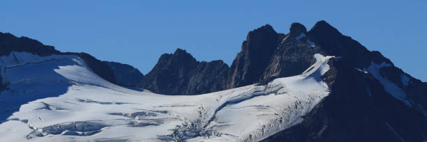 gletscherspalten im eis des triftglaziers. - triftgletscher stock-fotos und bilder