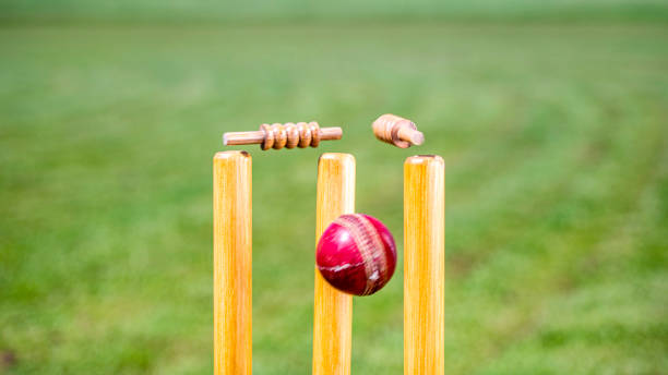 palla da cricket che colpisce i ceppi - pioli foto e immagini stock
