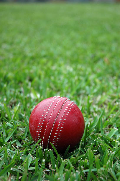 Cricket Ball stock photo