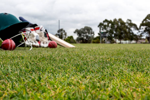 Cricket Equipment stock photo