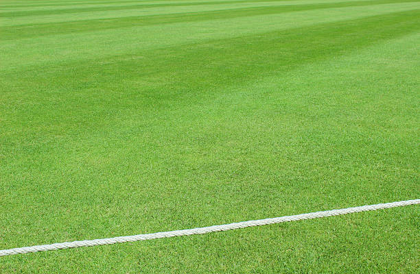 Cricket Field out of bounds stock photo
