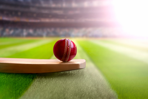 cricket leather ball resting on bat on the stadium pitch