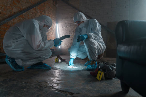 Criminologists in protective suits with camera taking photos of physical evidence in a flashlight light stock photo