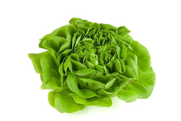 crisp salad head stock photo