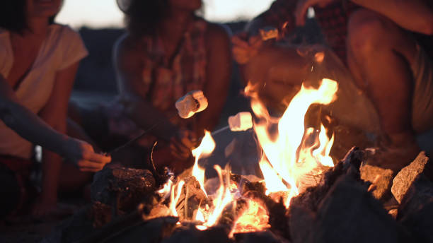 gewas mensen grillen marshmallows in brand - beach game group stockfoto's en -beelden
