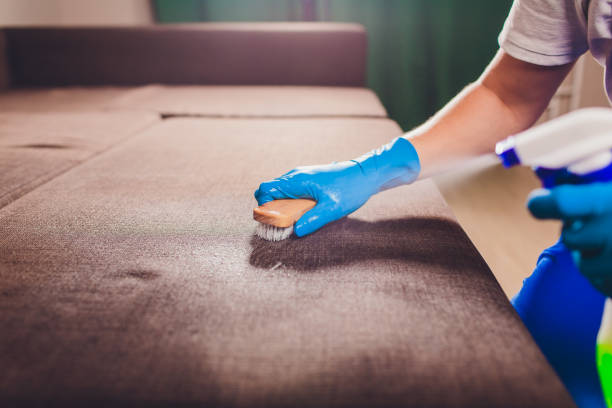 Cropped image. Cleaning concept. Male hand in light blue protective gloves cleaning sofa couch in the room. stock photo