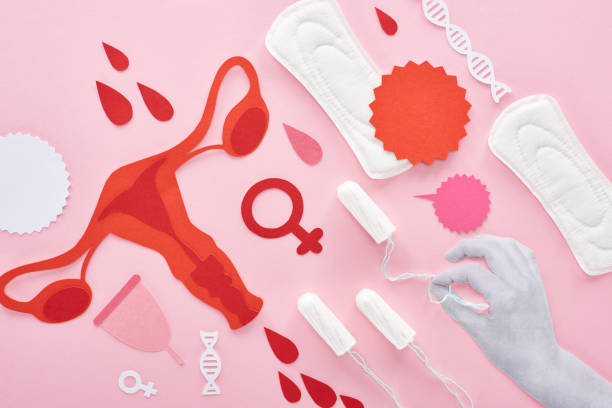 bijgesneden beeld van witte hand vasthouden tampon op roze achtergrond met sanitaire servetten, papier gesneden vrouwelijke reproductieve interne organen en bloed druppels - menstruatie stockfoto's en -beelden