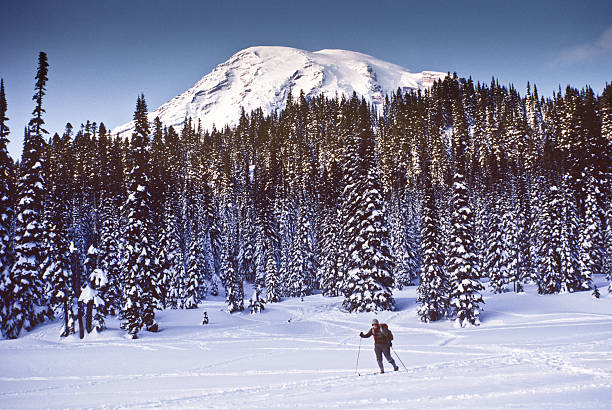 Cross Country Skiing at Mount Rainier At 14,410' above sea level, Mount Rainier dominates the landscape of the Puget Sound region. Mount Rainier is the highest point in Washington State, and is also the most glaciated mountain in the continental United States. This picture of a cross country skier was taken from Reflection Lakes in Mount Rainier National Park, Washington State, USA. jeff goulden scanned film stock pictures, royalty-free photos & images