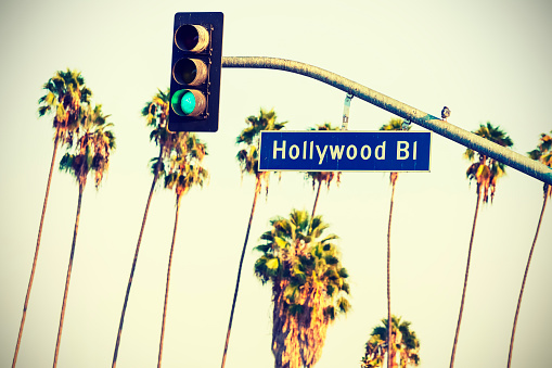 Cross processed Hollywood boulevard sign and traffic lights with palm trees in the background, Los Angeles, USA.
