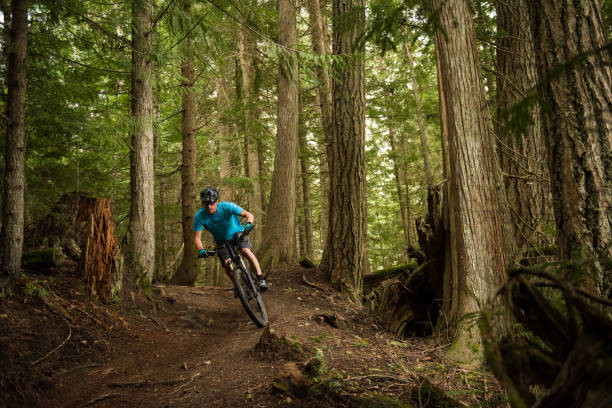 Crosscountry mountain biking in a lush forest stock photo