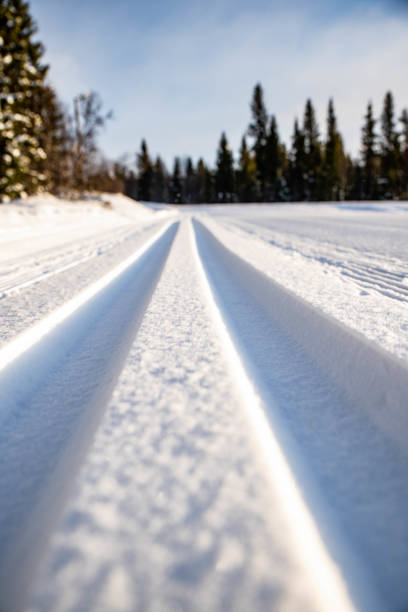 Cross-country ski in Norway in Beitostølen. stock photo
