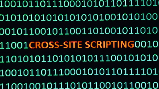 Cross-site scripting is a type of computer security vulnerability typically found in web applications, enabeling attackers to inject client-side scripts into web pages viewed by other users.