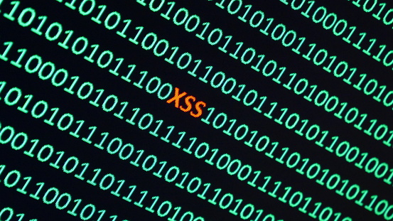 Cross-site scripting (XSS) is a type of computer security vulnerability typically found in web applications, enabeling attackers to inject client-side scripts into web pages viewed by other users.