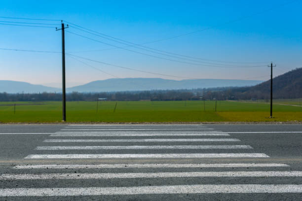 Crosswalk on the countryside road with a green field in the background, safe sidewalk with the pedestrian crossing. stock photo