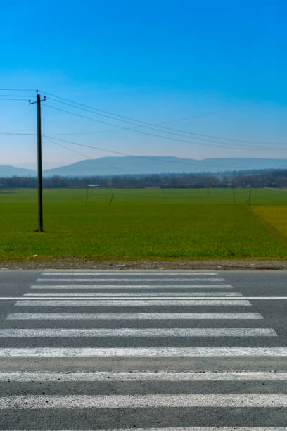 Crosswalk on the countryside road with a green field in the background, safe sidewalk with the pedestrian crossing. stock photo