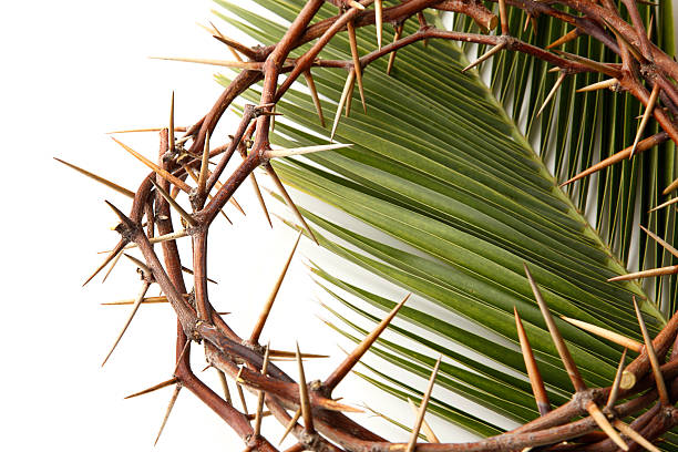 couronne d'épines et de la feuille de palmier sur fond blanc - good friday photos et images de collection