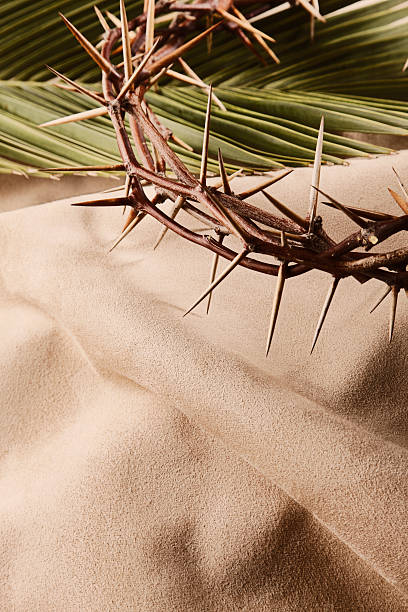 Crown of Thorns and Palm Leaf with Copyspace  good friday stock pictures, royalty-free photos & images
