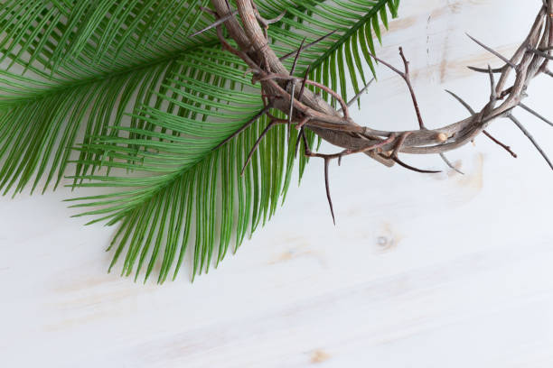 Crown of thorns and palm leaves stock photo
