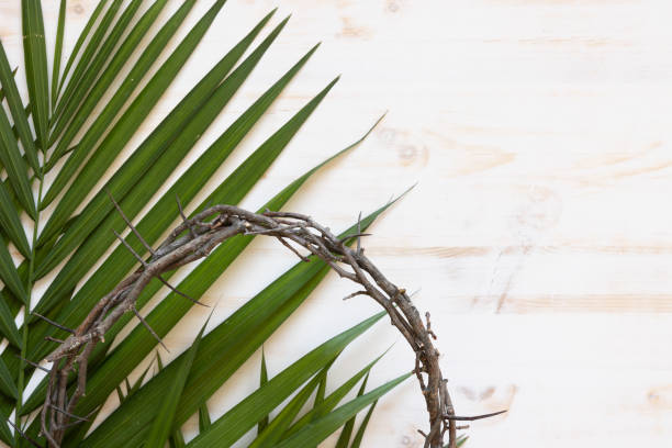 Crown of thorns and palms on white Christian crown of thorns and palm frond leaves on a white wood background with copy space good friday stock pictures, royalty-free photos & images