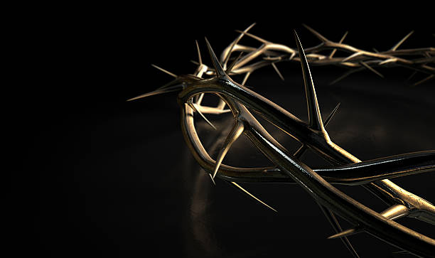 Crown Of Thorns Gold On Black  good friday stock pictures, royalty-free photos & images