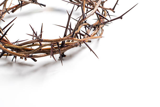 Crown of thorns on a white background - Easter. religion. Crown of thorns on a white background Easter religious motif commemorating the resurrection of Jesus- Easter crown of thorns stock pictures, royalty-free photos & images
