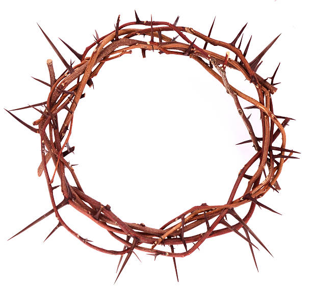 A crown of thorns on a white background stock photo
