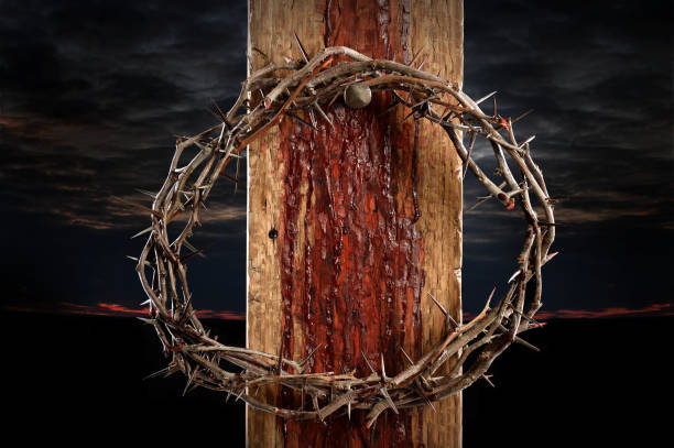 Crown of Thorns on Cross Crown of thorns cross held by nail crown of thorns stock pictures, royalty-free photos & images