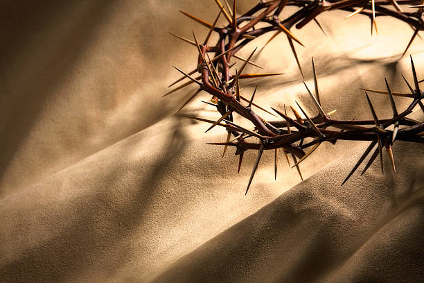 Crown of Thorns on Gold Background A crown of thorns on a gold suede background. good friday stock pictures, royalty-free photos & images